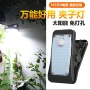 人体防水跨境感应庭院灯