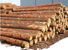 ��Ѭ��ľ������lvl����z�ϰ� ��ľ�ӷe��ľ��lvl����l