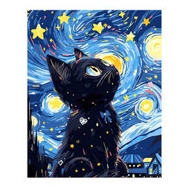 数字油画跨境爆款星空黑猫创意手工diy创意手绘数字油画客厅装饰