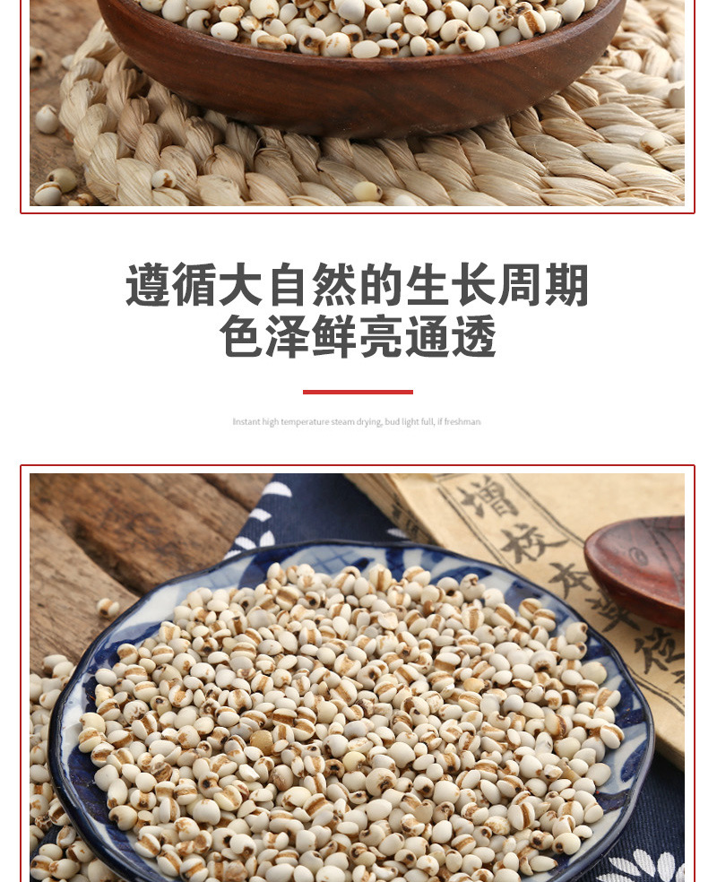 Coix Seed (Coix lacryma-jobi) — Roasted Puffed Yi Mi Ren, 500g Loose Food Herb specifications