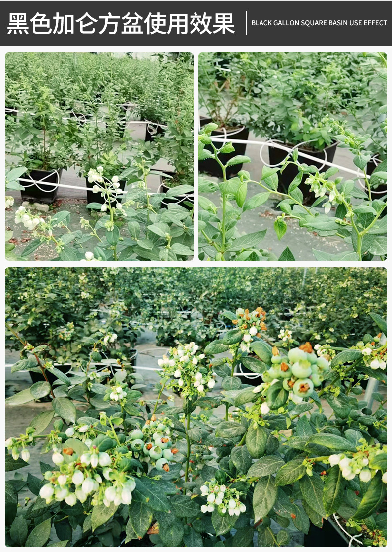绿色方盆详情_13.jpg