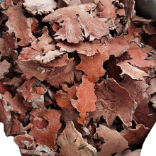 ���� ���� ��ș�� �����^ ������ ������ ��ƷҰ����Ʒ