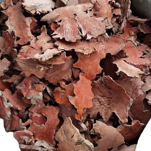 ���� ���� ��ș�� �����^ ������ ������ ��ƷҰ����Ʒ