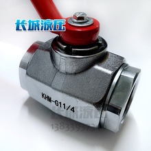 ���l���� ����m�и߉����y FSKH DN40 PN160 3123F1 Һ�����y