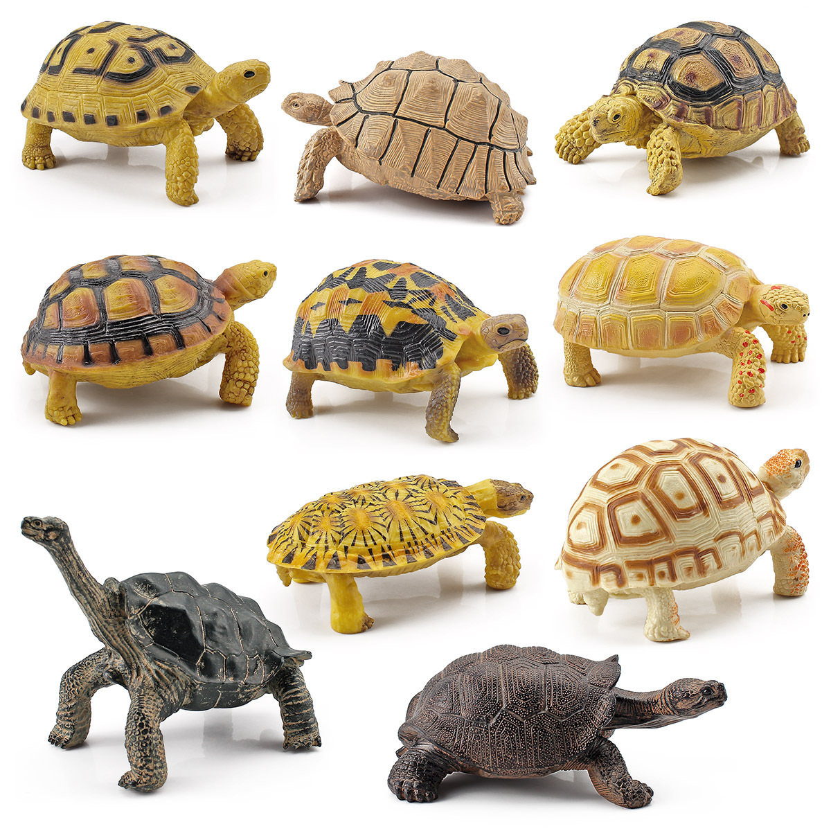 Transfronteriza Nueva simulación anfibio reptil modelo tierra tortuga elefante tortuga estrella tortuga estática decoración cognitiva decoración juguete