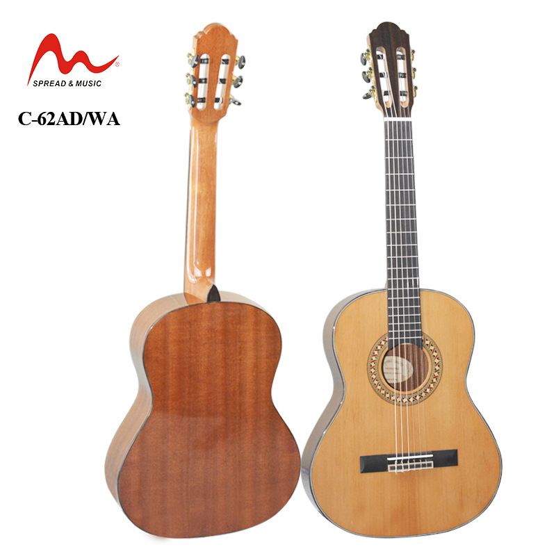 classic professional guitar