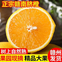 江西赣南脐橙大小果当季甜橙产地直发新鲜水果大果批发一件包邮