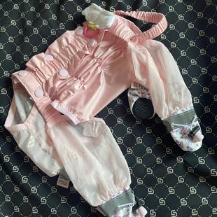 ����������K���򱳎�ѝ������С��Ȯ̩���B�wѝ�_�׌����B�wЬ��