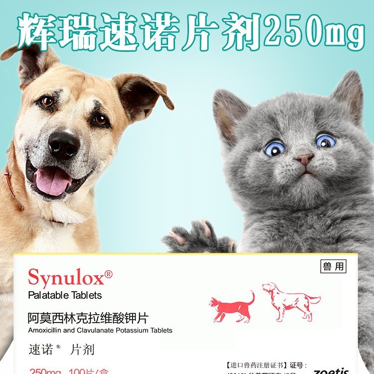 辉瑞速诺50/250/500mg感咳冒嗽犬猫尿路炎猫鼻支速诺片猫狗消药|undefined