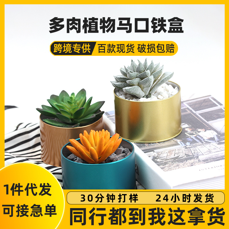 现货90*60圆形马口铁罐 种植花草金属铁罐 多肉收纳定制铁盒包装