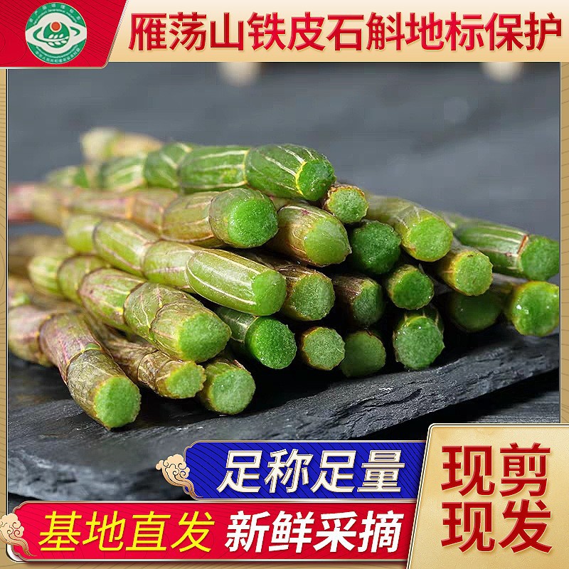 铁皮石斛雁荡山浙江冷藏鲜石斛4年生基地直供500g批发冷藏锁鲜