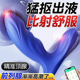 震动棒;前列腺按摩器;润滑剂