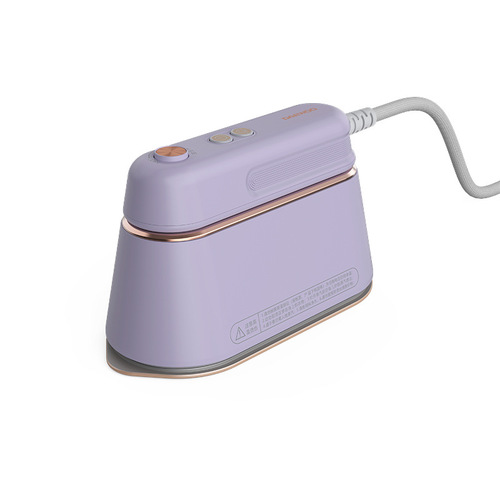 Han Yu holds a household small portable steam iron, a hand-held garment steamer for flat ironing clothes.