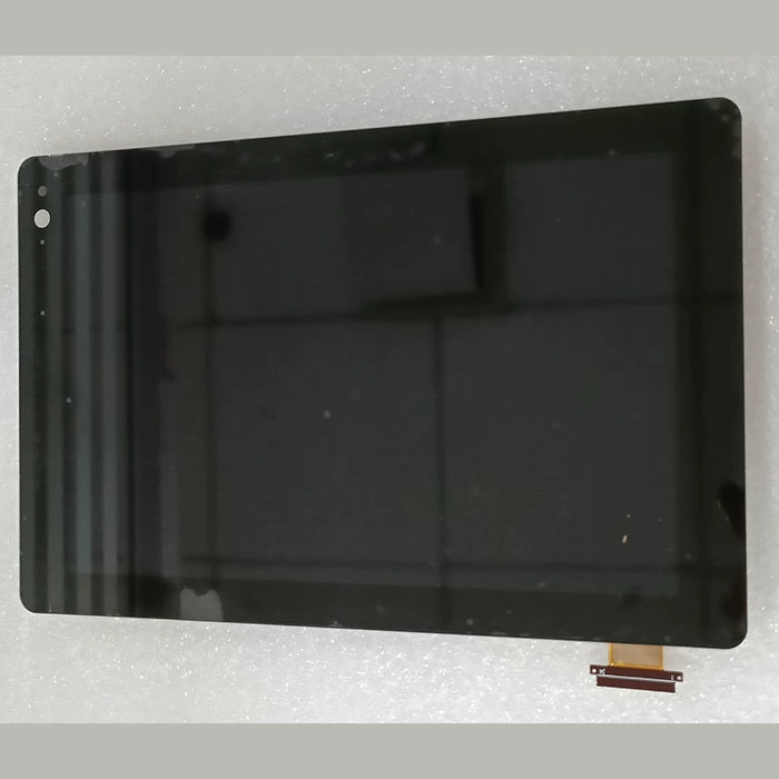 Готовый автомобильный навигационный ЖК-экран BLG956B-V1, центральный автомобильный дисплей управления BM800WX-9561F