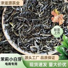 新茶茉莉花茶茉莉小白芽茶叶奶茶原料散装批发电商专供茉莉香