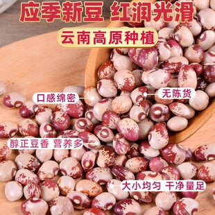 �����؈���r���خa�t��������s�Z���׶��tܿ������������