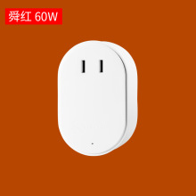 舜红60W变压器220v转100v110小型电源电压转换器插头【能量版60瓦