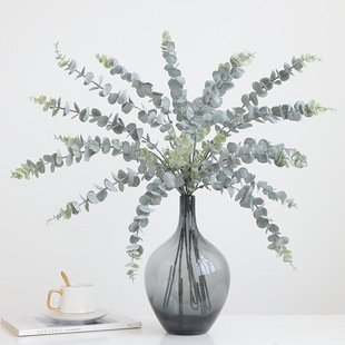 ���Wins���滨���z�ȼ����~�͏d�b��[�Ż�����ľGֲ��c�b��