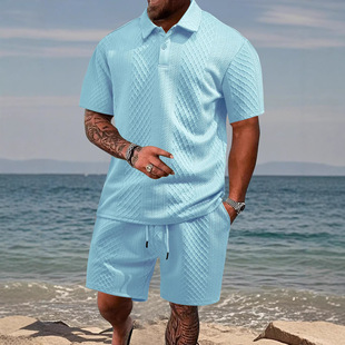 �W���羳��ʿ�Ứ��POLO�ļ�����I�������e�\�Ӷ���M�����b��