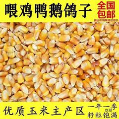 乾燥トウモロコシ卸売 50kg 飼育トウモロコシバルクトウモロコシ粒鶏、アヒル、ガチョウ、豚、ハト、釣り、巣作り送料無料