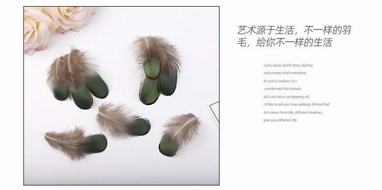 丰尔绿片_09.jpg