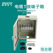 低压电缆T接端子箱 铜排大电流电缆分支室内装 电缆T接箱厂家直销