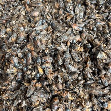 ţ��x��ș�� ţ�nω ţ� ţ���x ţå�x ���M��ţ��x��500��