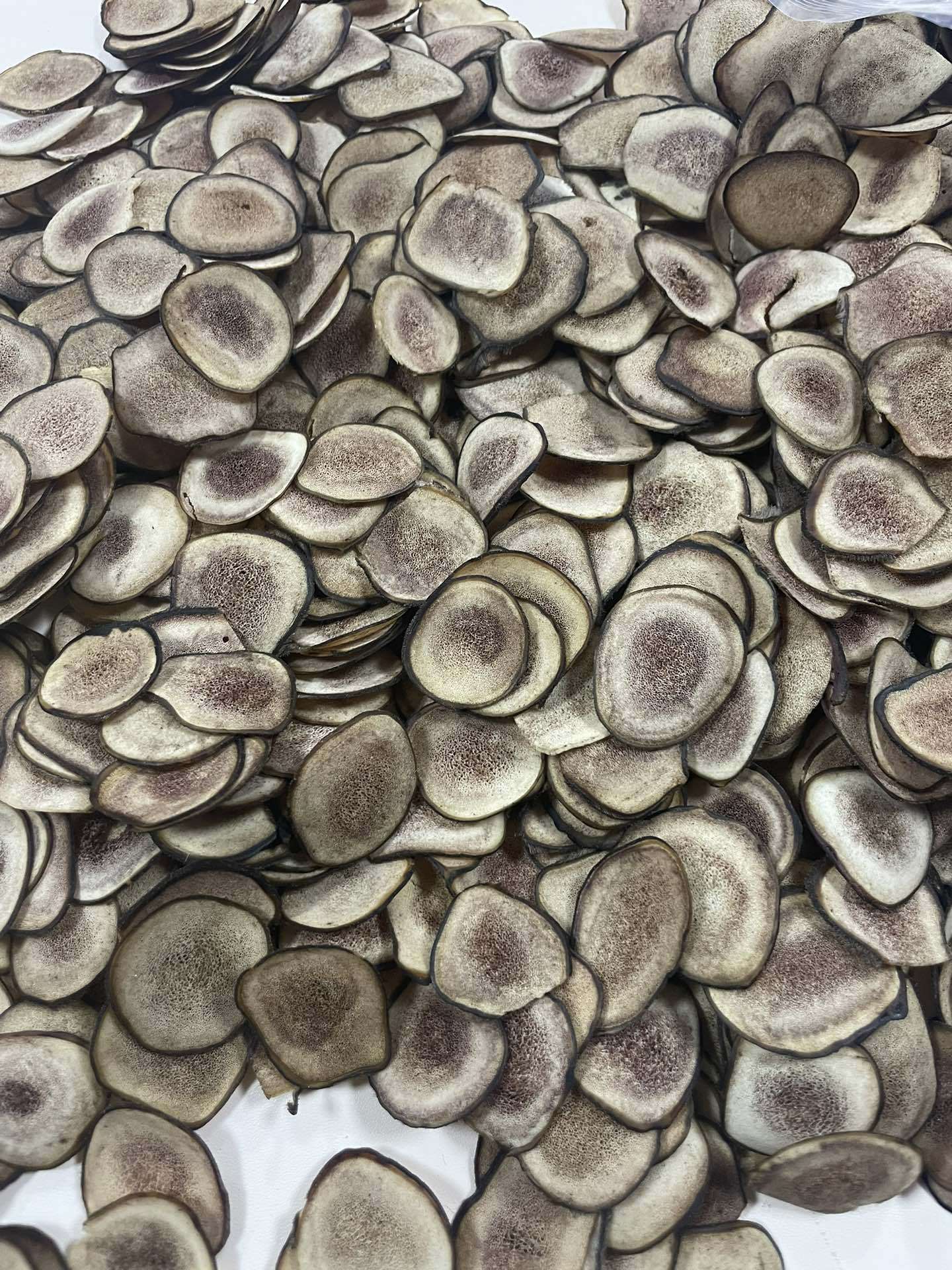 Dried Deer Antler Slices Xue Sha Pian Jilin Origin Traditional Herbal Decoction Pieces 10g key features