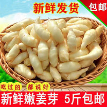 �۽�ѿ�н����r���]�ӽ��r��5���bɽ�|�����Ǵ��������ݲ˽�ѿ