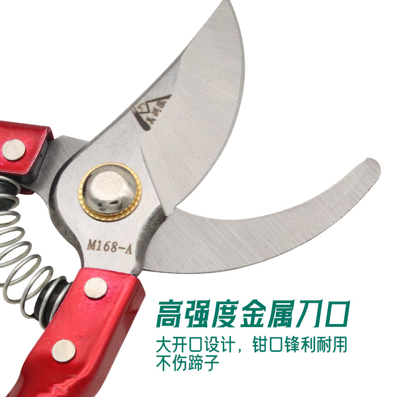 Alicates para recortar pezuñas de ovejas, tijeras para recortar pezuñas, tijeras veterinarias para recortar uñas de ovejas, herramientas para recortar pezuñas