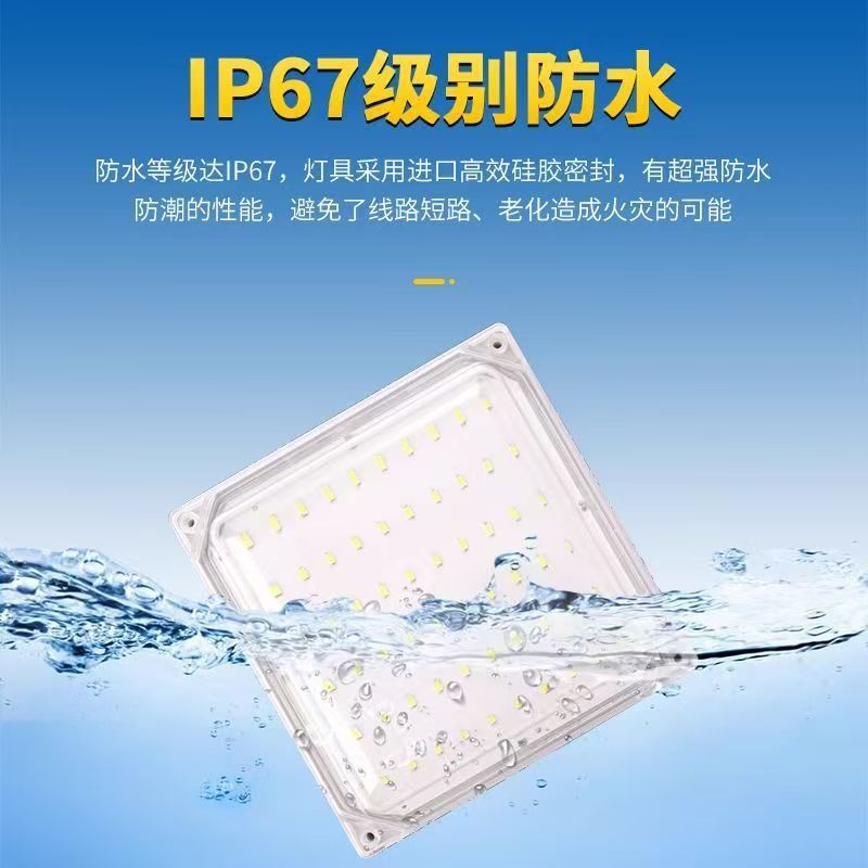 智控LED冷库专用灯15W-100W（307新）防水防冻防潮椭圆 方形智控|undefined