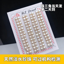 天然淡水珍珠6-6.5mm半圆珍珠散珠白馒头珠手工diy珍珠耳钉批发