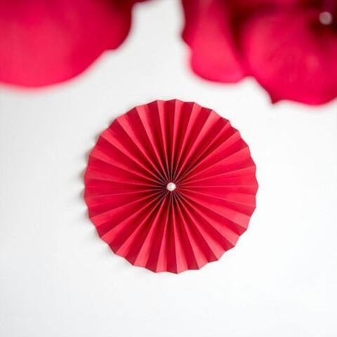 2 fan flowers with a diameter of 20cm