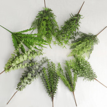 ����΢���^�b���ˮ��ާ�~ާ�� ɭϵ����ֲ��������Ͻ��X�~