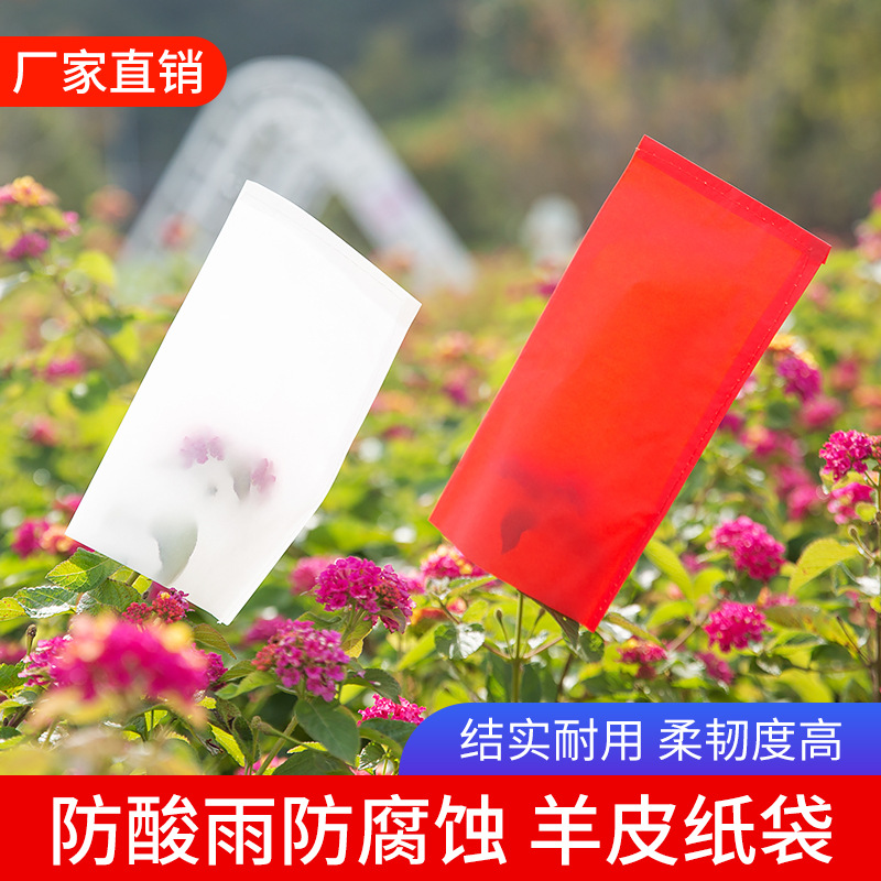 供应植物羊皮纸袋 硫酸纸袋 小麦杂交授粉袋 浸种纸袋 隔离套袋