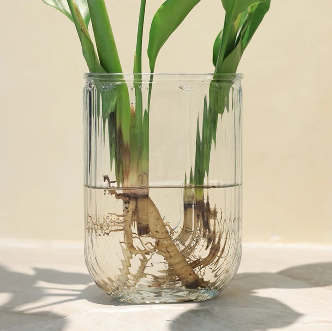 Botella de vidrio hidropónico estilo francés personalizado de alto nivel floral al por mayor en forma de U simple jarrón de vidrio ornamentos decorativos creativos
