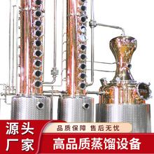 大宇威士忌蒸馏设备 多功能酒精设备 伏特加金酒蒸馏器定制直销