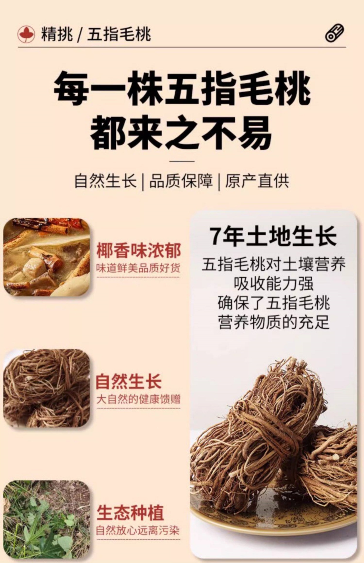 Wu Zhi Mao Tao Five-Finger Fig Root Soup Herb 500g Dried Thin Roots Bundle Guangxi Guangdong specifications
