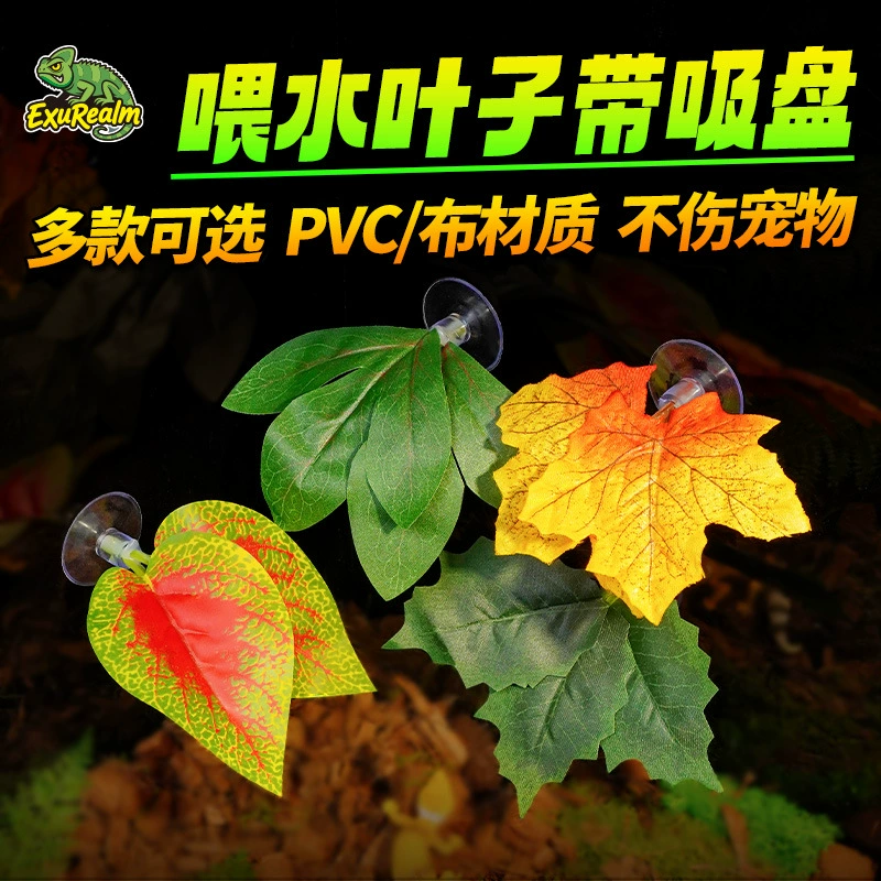 Растения для террариума для рептилий: листья для кормления водой с присосками для ящериц, хамелеонов, змей, аксессуары для кормления рептилий водой (перилла)