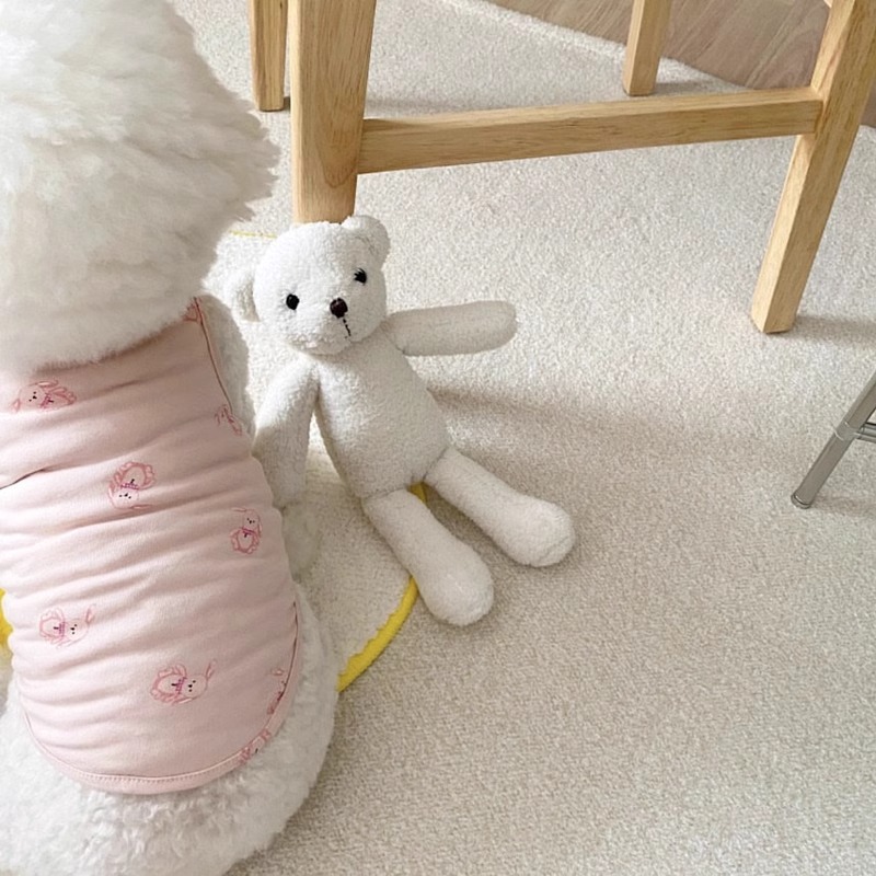 Versión coreana de la ropa de perro de peluche de dos patas para mascotas de dos patas