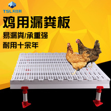 鸡用漏粪板 塑料漏粪板 现货供应 复合材料家禽用养殖设备