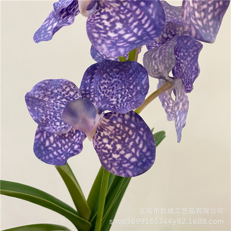 高品质仿真花胡姬万代兰高品质手感7头兰花软装婚庆家居装饰花艺-阿里巴巴