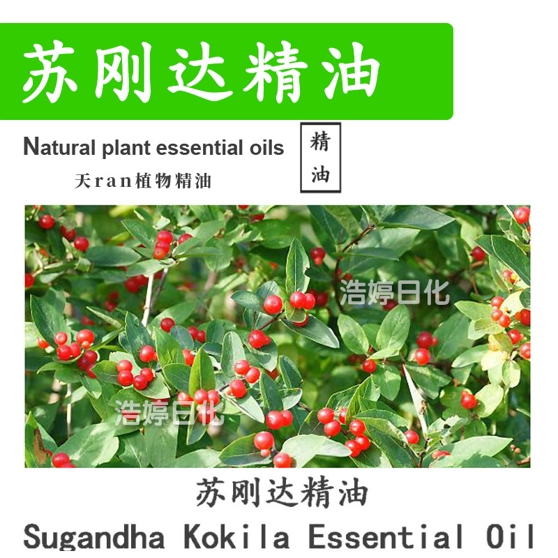 苏刚达精油 灰叶樟 单方精油 护肤 化妆品原料 10ml