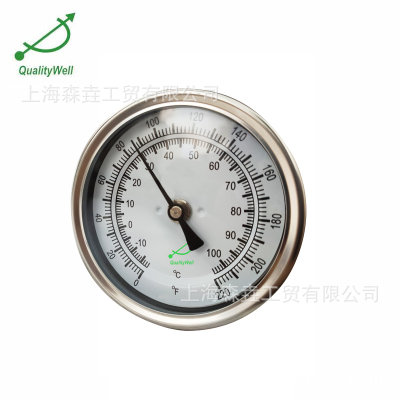 ��������ʽ��β̽��˫�����¶ȼ� �ѷ��� ȫSS304���� T300-S