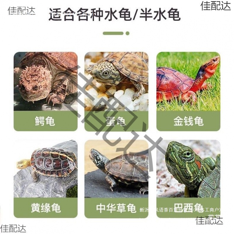 乌龟发色盒幼龟孵化饲养盒蛋龟加温黑白隔离龟苗饲养套盒带沉淀板|undefined