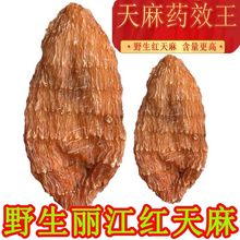 【丽江红天麻】天麻野生云南干货新鲜代切片天麻粉头包