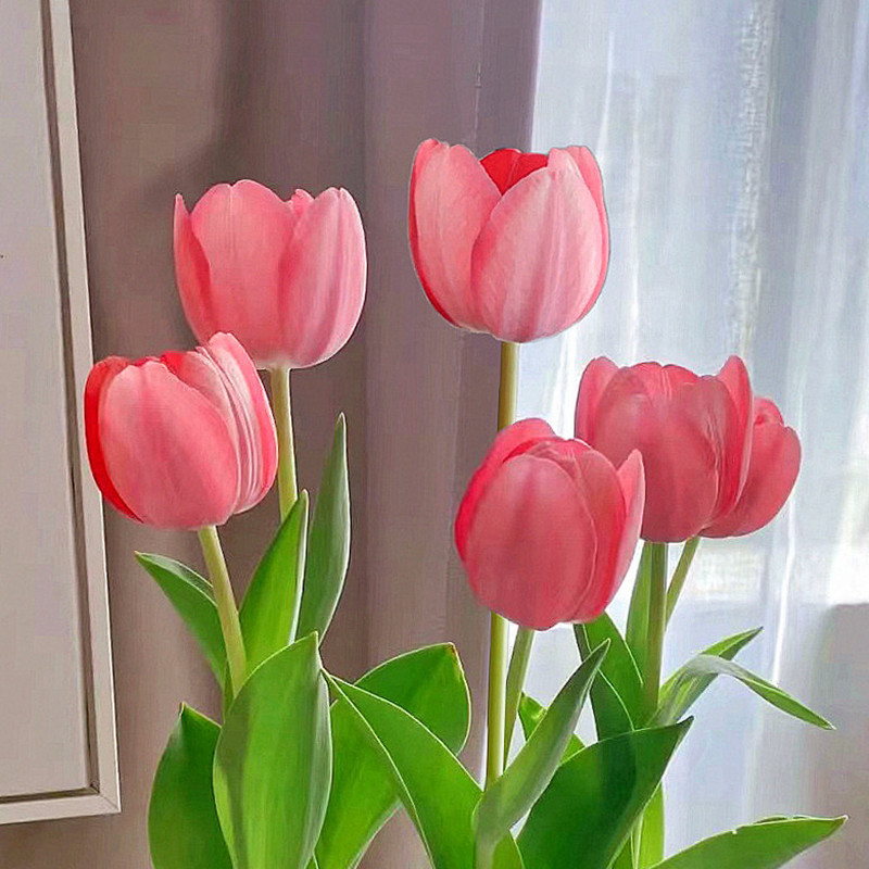 Tulip Bulbs, Hydroponic Flower Plants, Indoor Flowers, Four-Season Blooming Seeds, Potted Flower Seedlings, Soil Culture, Water Culture, Easy to Live