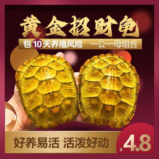 ���B���w����������ؔ�լ�ͻ��ش����������H���^�p�L�۰�����