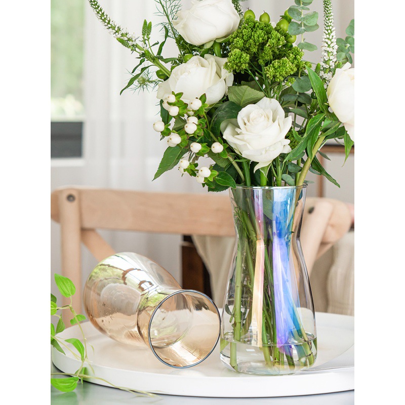 Nordic INS-style glass vase, minimalist transparent water-potted lily and rose flower desk flower vases, decorative pieces