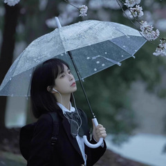 透明雨伞女高颜值长柄折叠网红学生儿童直柄小清新风户外便携